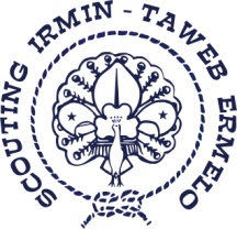 Logo Irmin Taweb